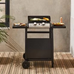 Plancha Gaz 2 Brûleurs Inox 5kW Avec Chariot